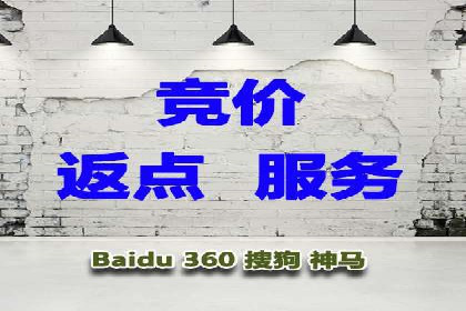 百度SEO推广：从零到一的成长案例